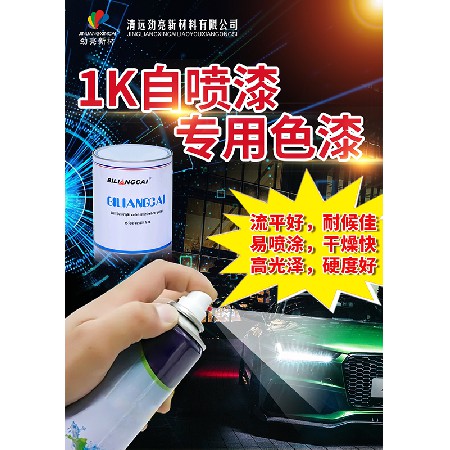 1K self spraying special color paint